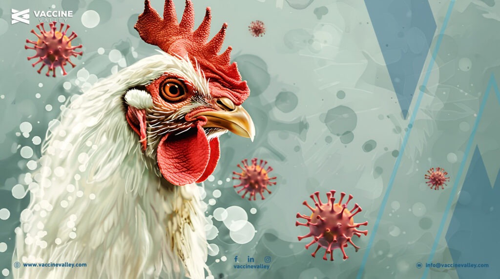 زيادة معدل حدوث فيروسات الأدينو في الدواجن Adenovirus outbreaks